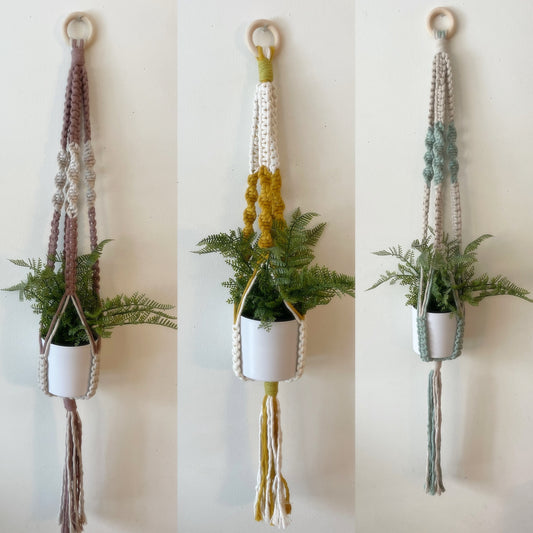 Macrame Plant Hanger Class